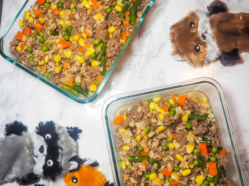 The Canine Kitchen: Homemade Dog Food Recipes