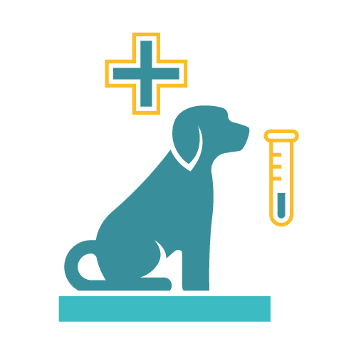 Essential Dog First Aid Tips