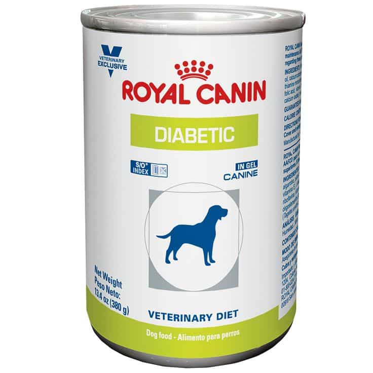 Caring For A Dog With Diabetes - PetHealth4You.com