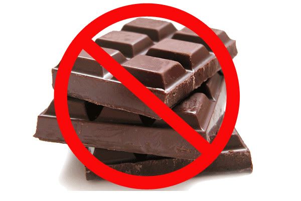 Everything You Need To Know About Chocolate Poisoning In Dogs