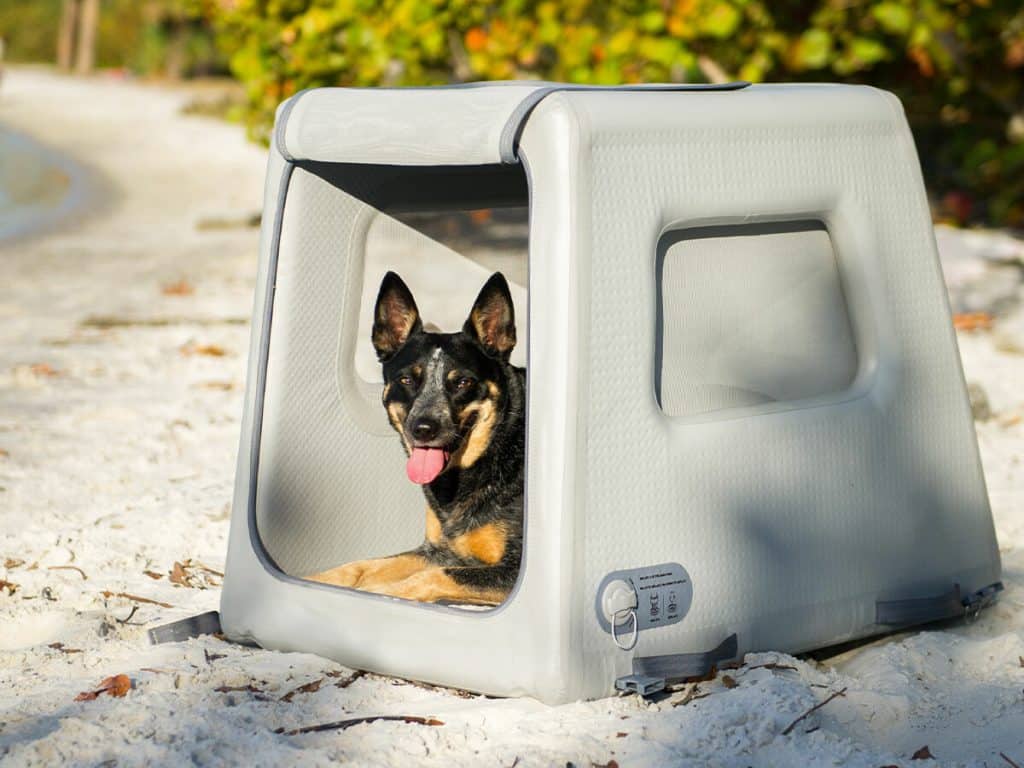 The Best Pet Tech Gadgets Of The Year