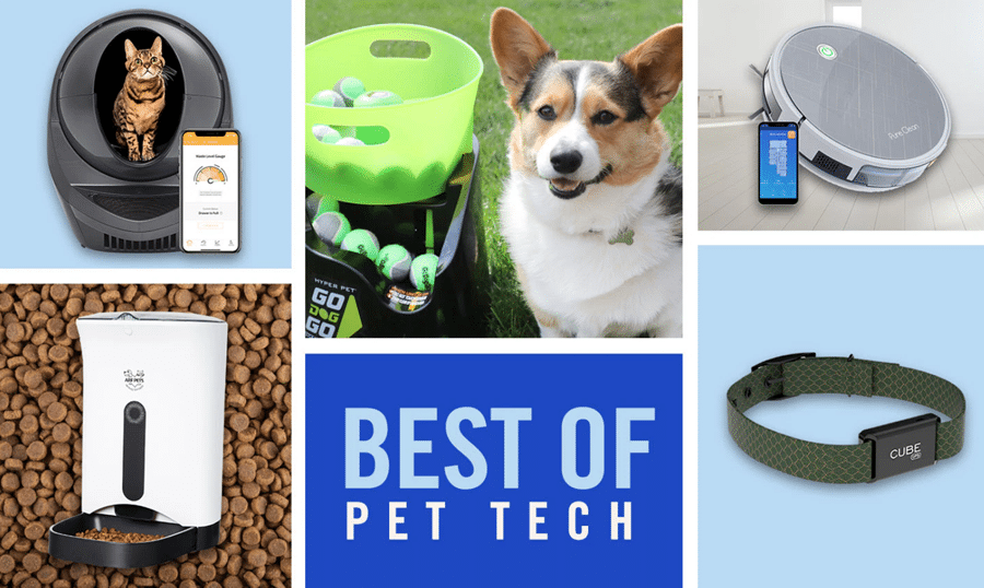 The Best Pet Tech Gadgets Of The Year