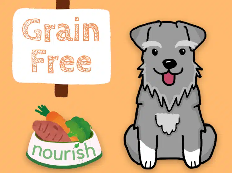 The Truth About Grain-Free Diets for Dogs