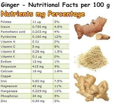The Benefits of Ginger for Dogs