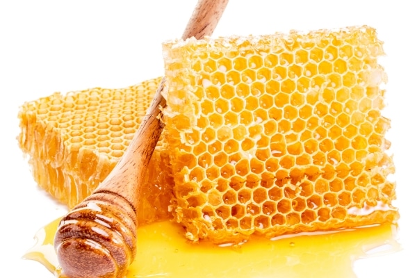 Harnessing the Healing Power of Honey for Canine Care